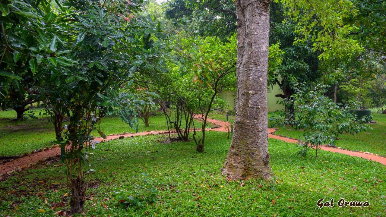 Gal Oruwa Resort Dambulla Buitenkant foto