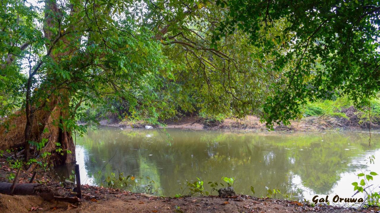 Gal Oruwa Resort Dambulla Buitenkant foto