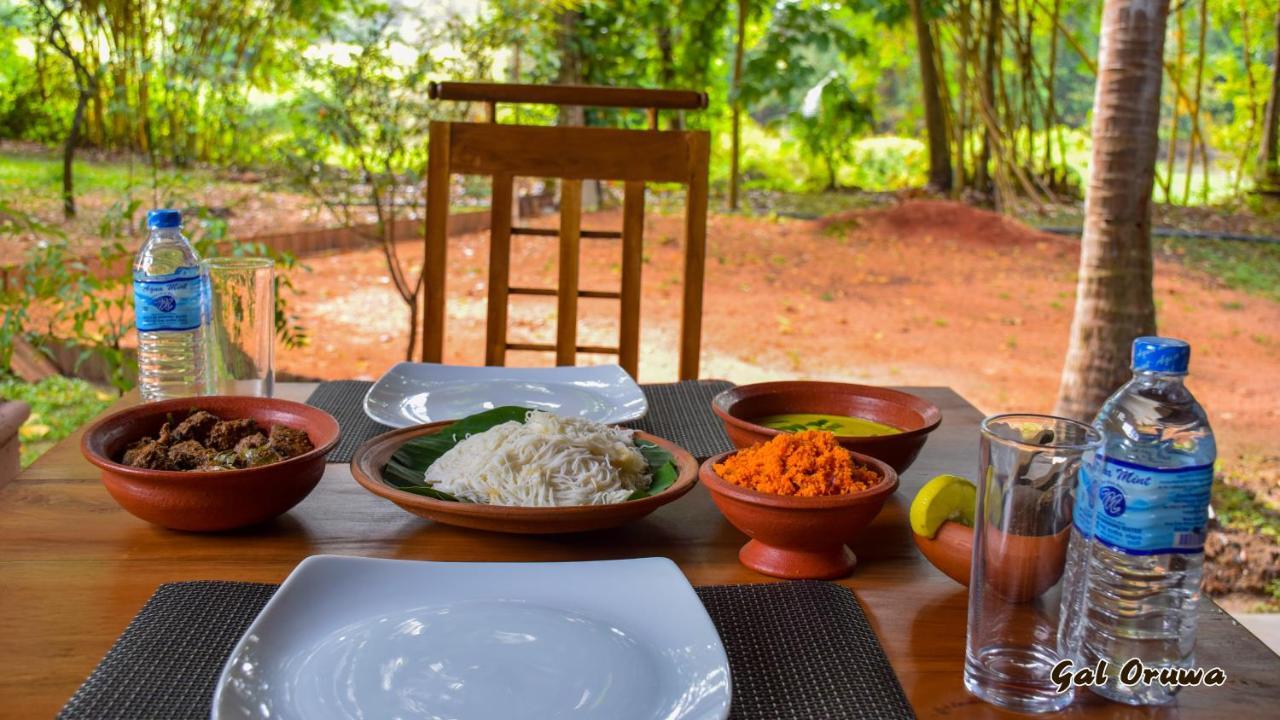 Gal Oruwa Resort Dambulla Buitenkant foto