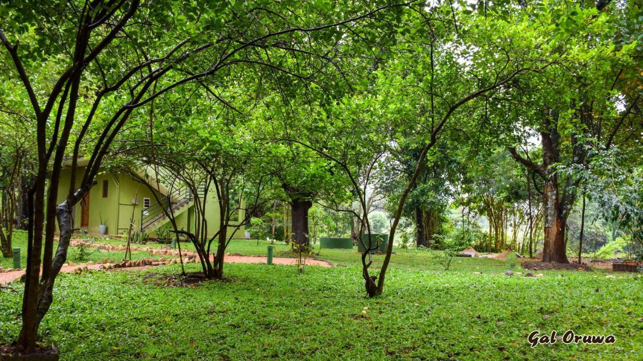Gal Oruwa Resort Dambulla Buitenkant foto