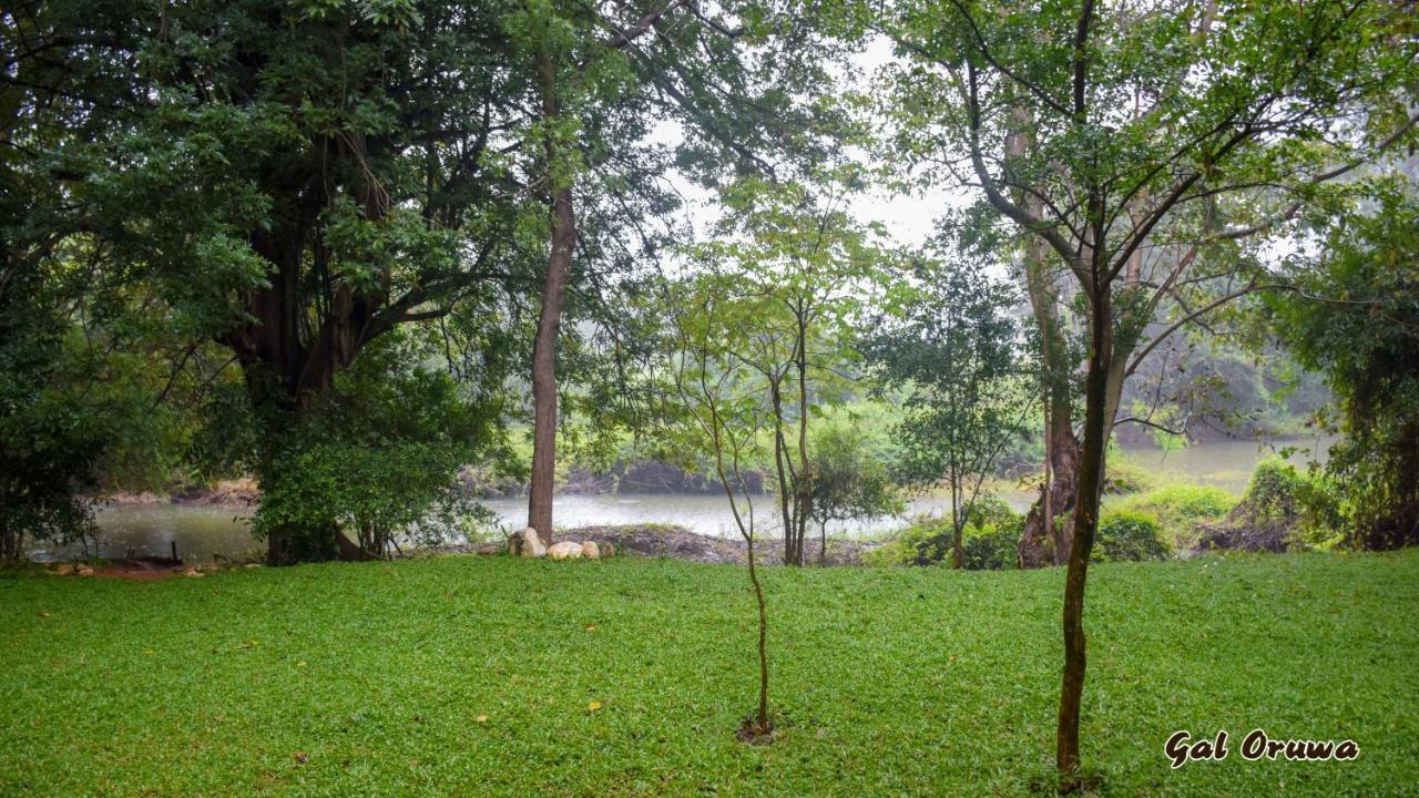 Gal Oruwa Resort Dambulla Buitenkant foto